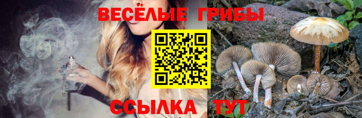 Галлюциногенные грибы GOLDEN TEACHER  Псилоцибиновые грибы мухоморы  Вход с VPN  Георгиевск 