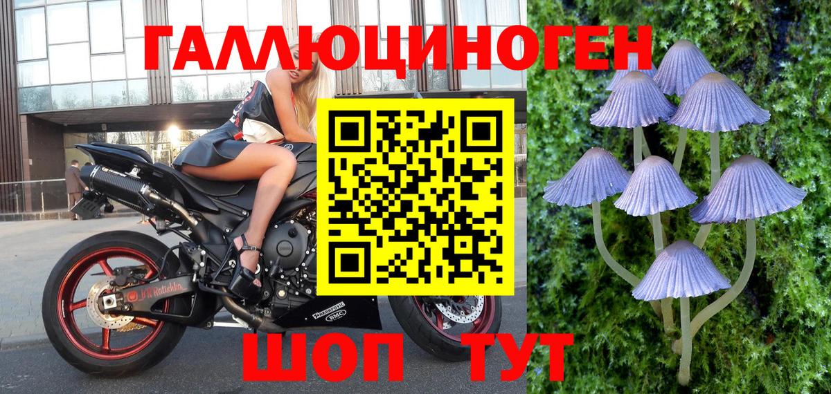Галлюциногенные грибы мицелий Георгиевск